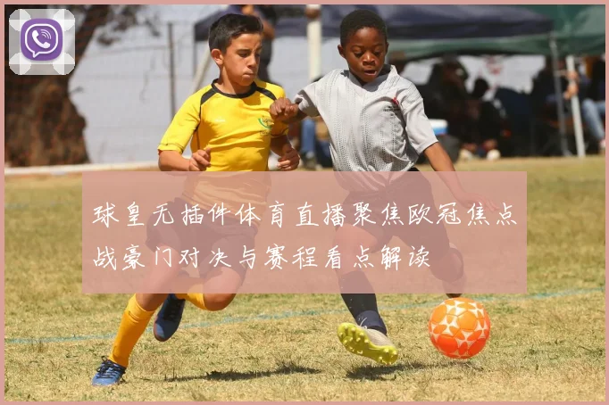 球皇无插件体育直播聚焦欧冠焦点战豪门对决与赛程看点解读