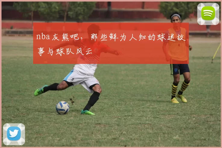 nba灰熊吧，那些鲜为人知的球迷故事与球队风云