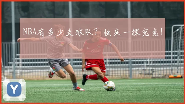 NBA有多少支球队？快来一探究竟！