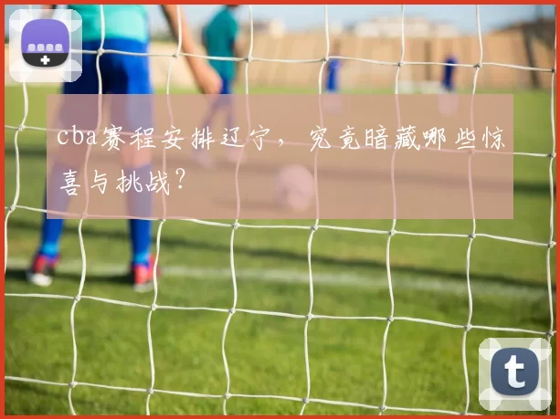 cba赛程安排辽宁，究竟暗藏哪些惊喜与挑战？