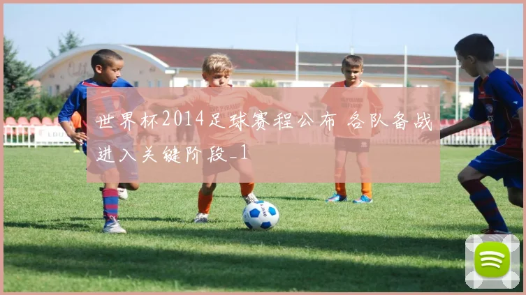 世界杯2014足球赛程公布 各队备战进入关键阶段_1