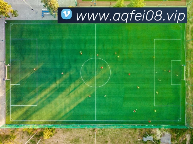 kaiyun开云官方网页版 - kaiyun开云(中国)发展历程