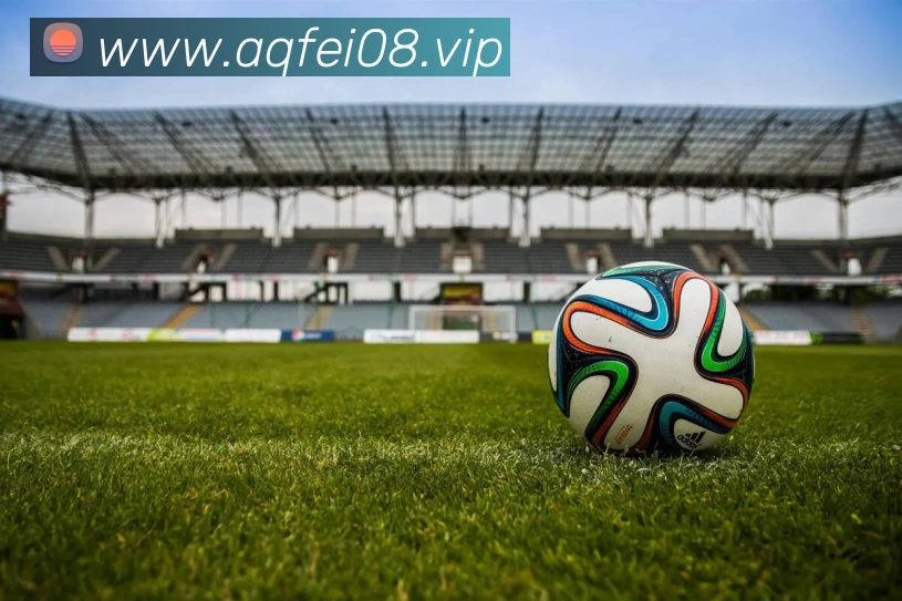 kaiyun开云官方网页版 - kaiyun开云(中国)APP 高清赛事图